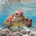 Paul Goode - Facebook