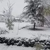 Pauline Goodell peanut - @pauline.goodell.p - TikTok