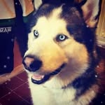 Paul Goodhew - @goodhew44 - Instagram