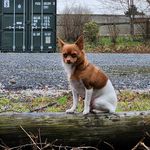Paul Goodier - @dink_goodier - Instagram