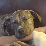 Paul M Goodrum - @paulgoodrum - Instagram