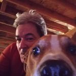 Paul Gorham - @notmymonkees - Instagram