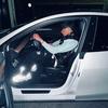 paulgohard - @paulgohard - TikTok