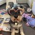 Paul Gowen - Facebook