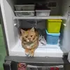 Paul Goweng - @paul.goweng - TikTok