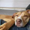 paulgrabowski850 - @paulgrabowski850 - TikTok