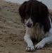 Paul Grabowski - Facebook