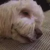 paulgrabowski - @paulgrabowski7 - TikTok
