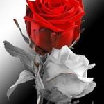 Paul Greening - @paul.greening.16 - Instagram