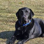 Paul Greenwald - @pauljgreenwald - Instagram