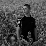 Paul Greiner - @pl.grnr - Instagram