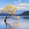 _Paul_Grewal - @paul_grewal - TikTok