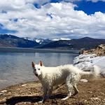 Paul Grignon - @rogue_energy - Instagram