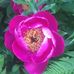 Paul Grob - Facebook