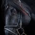 Paul Groleau - Facebook