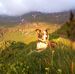 Paul Grossmann - Facebook