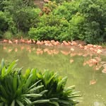 Paul Grube - @paul.grube.587 - Instagram