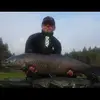 Paul Gruber838 - @paulgruber838 - TikTok