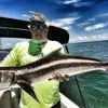 Paul Gummerson - @paul.gummerson - TikTok