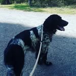 Paul Guth - @paul_guth_official - Instagram