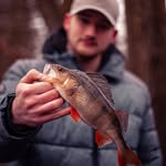 Paul Guth - @guth.faengt.besser - Instagram