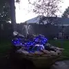 Paul J. Hackbarth - @paul.j..hackbarth - TikTok