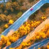Paul_heidinger - @paul_heidinger - TikTok