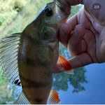 Paul am Haken - @paulamhaken - Instagram