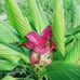 Paul Halasan - Facebook