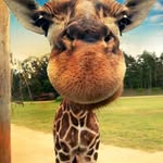 Paul Hallam - @paul.hallam.104 - Instagram
