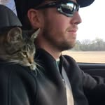 Paul Hamberg - @paulhamberg - Instagram