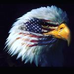 Paul Hamelin - @hamelin_paul - Instagram