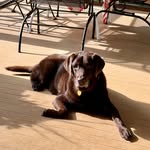 Paul Hammes - @phammes - Instagram