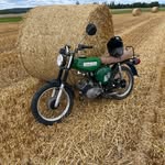 Paul Hammes - @paulhms10 - Instagram