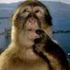 Felix Paul Hamner - @felix.paul.hamner - TikTok