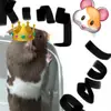 KING PAULLL 👑🇸🇾🐹 - @paul.hamster - TikTok