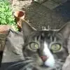 Paul Hankey - @paul.hankey - TikTok