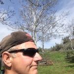 Paul Hanks - @hanks.paul - Instagram