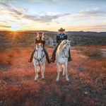 Paul Hanks - @paul.hanks.739 - Instagram