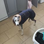Paul Hanks - @paul.hanks.77 - Instagram
