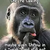 pauliee911 - @paulhanks - TikTok