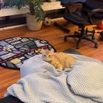 John Paul Hanney - Facebook