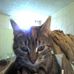 Paul Harang - Facebook