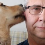 Paul Harbourne - @paulharbourne - Instagram