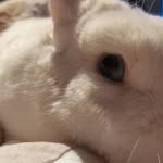 Paul Harm - @paulharm28 - Instagram