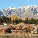 Paul and Kerry Harmer - @castleridgestation - Instagram