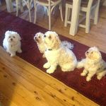Paul Harmer - @harmerpe - Instagram