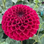 Paul Harmer - @paul376777 - Instagram