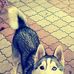 Paul Harner - Facebook
