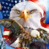paulharner739 - @paulharner739 - TikTok